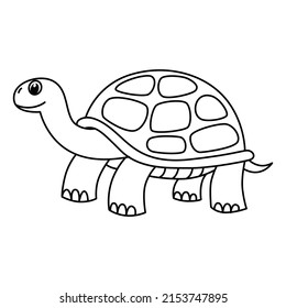 Tortoise color images stock photos d objects vectors