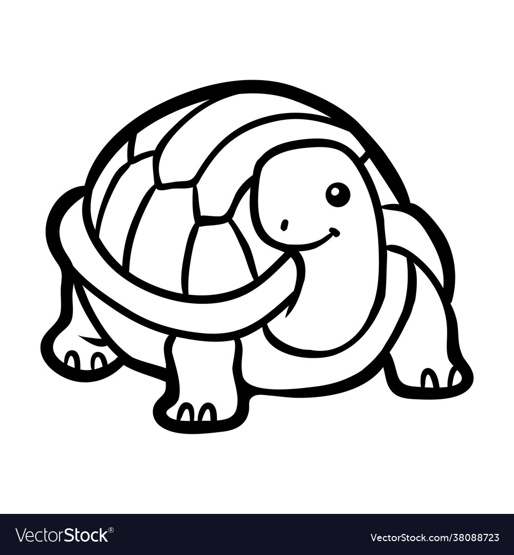 Coloring book tortoise royalty free vector image