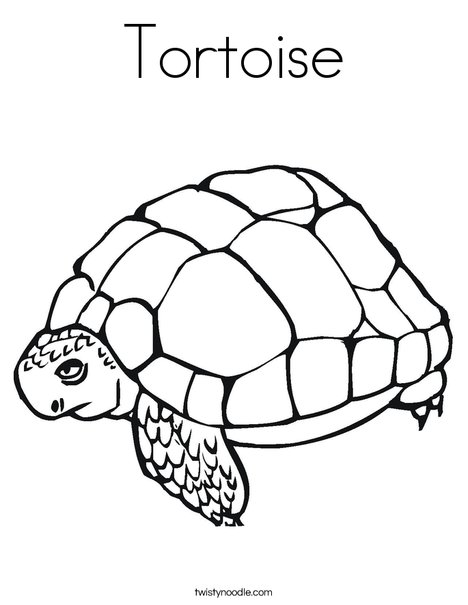 Tortoise coloring page