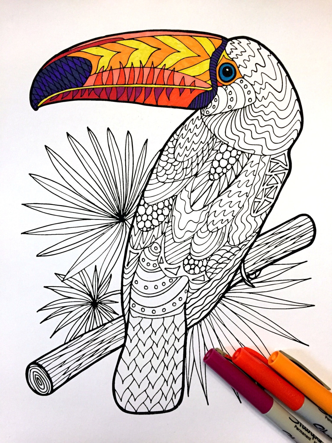 Toucan pdf animal coloring page