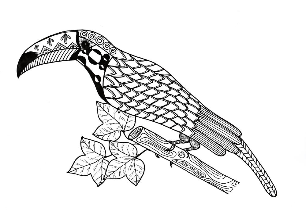 Toucan coloring page