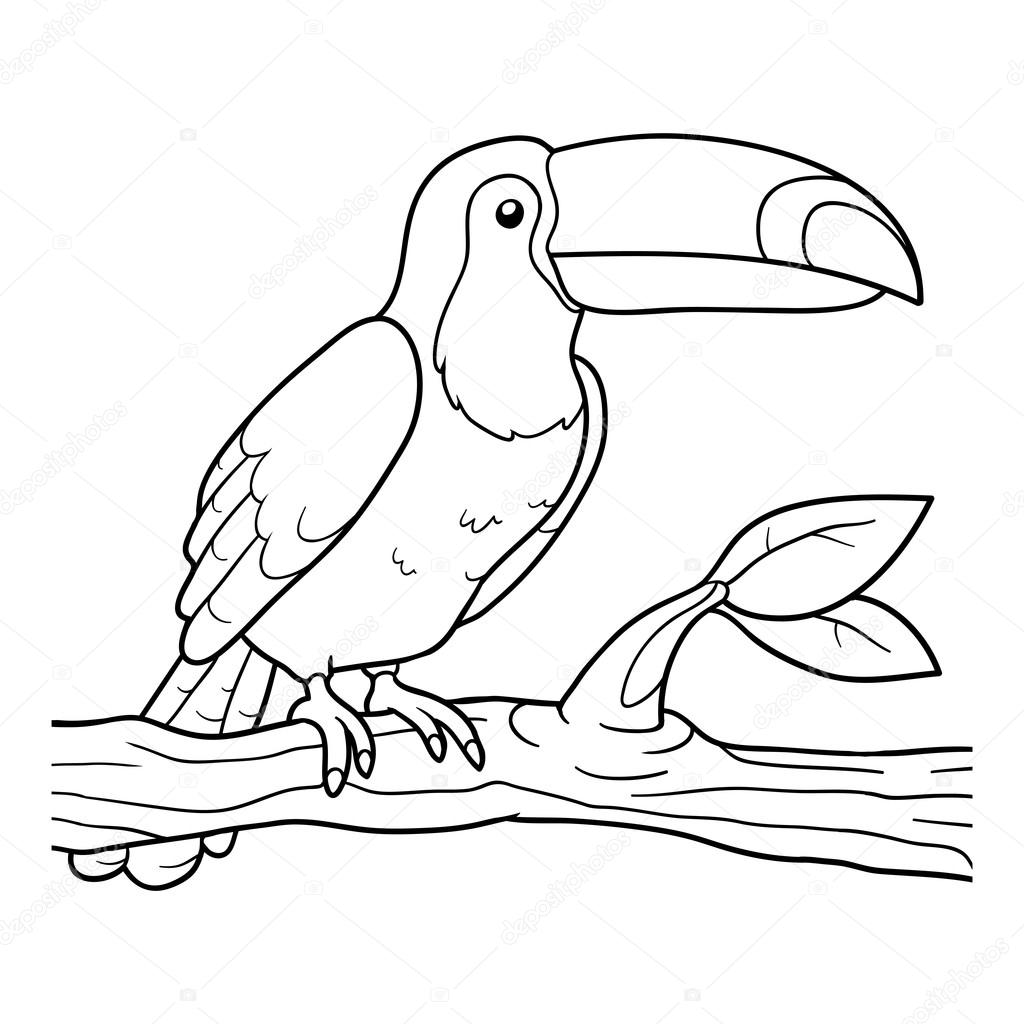 Coloring book toucan stock vector by ksenyasavva