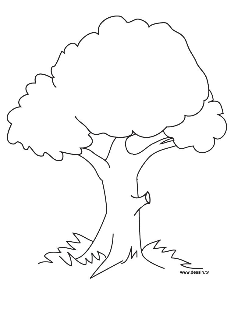 Coloring pages trees tree coloring page flower coloring pages apple coloring pages