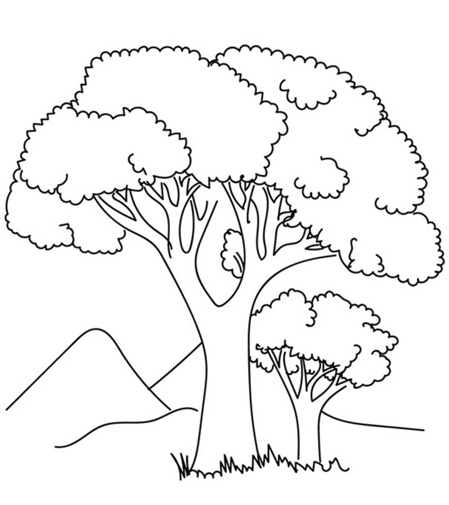 Top tree coloring pages for your little ones