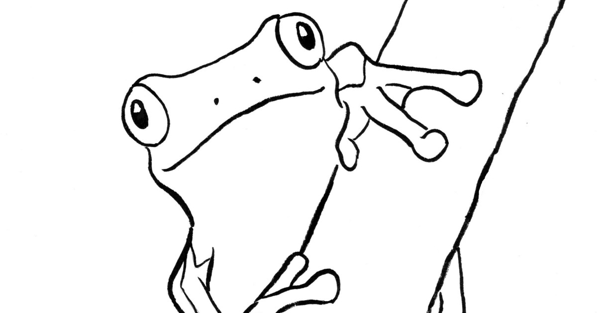 Tree frog coloring page