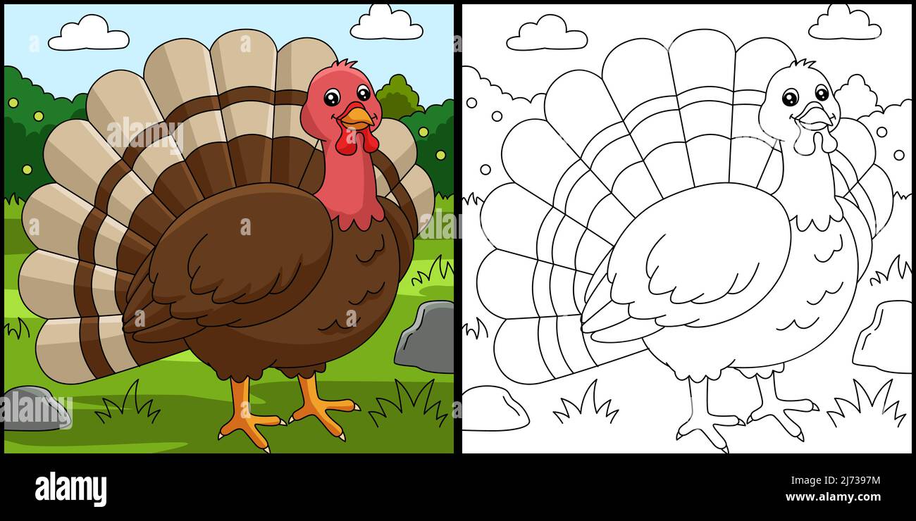 Turkey coloring page colored illustration stock vector image art