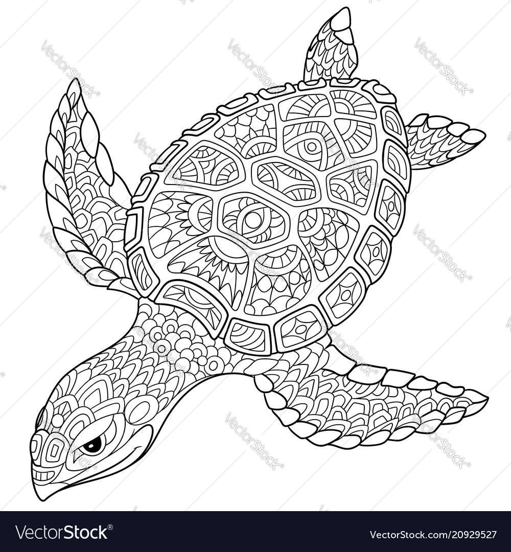 Turtle coloring page royalty free vector image