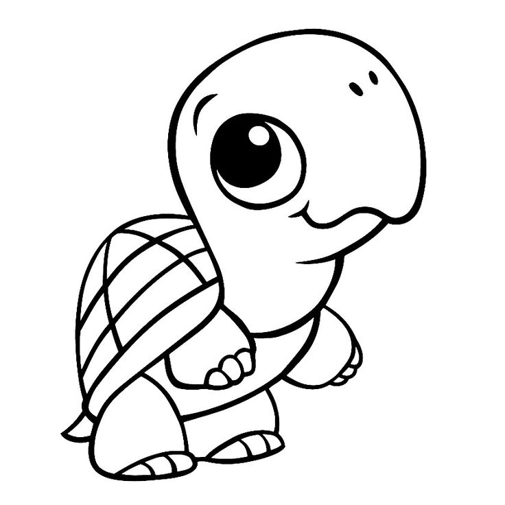 Printable turtles coloring page to print and color for free from the gallery turtles turtle coloring pages snake coloring pages animal coloring pages