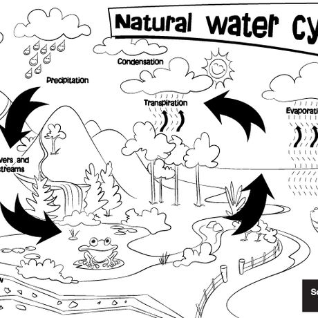 Natural water cycle colouring sheet south east water education