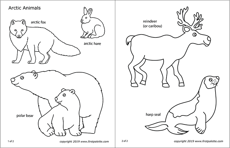 Arctic polar animals free printable templates coloring pages