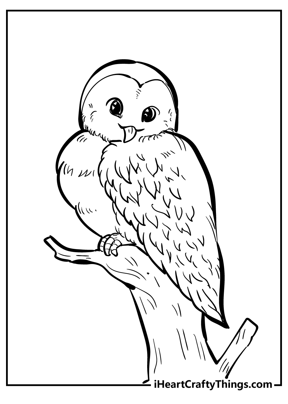 Bird coloring pages free printables