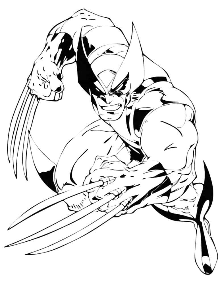 Wolverine coloring pages by coloringpageswk on