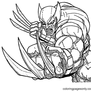 Wolverine coloring pages printable for free download