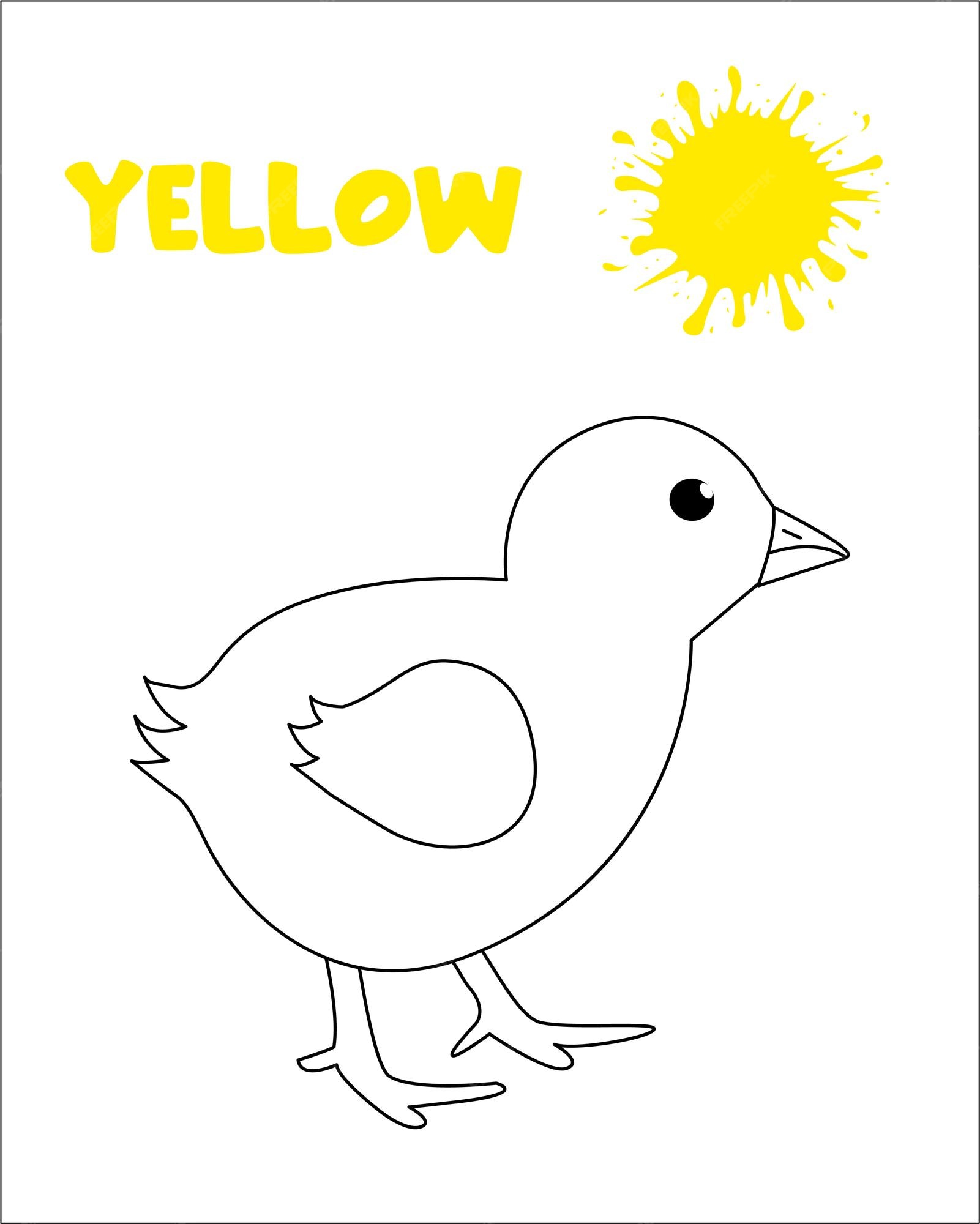Premium vector yellow color chick coloring page