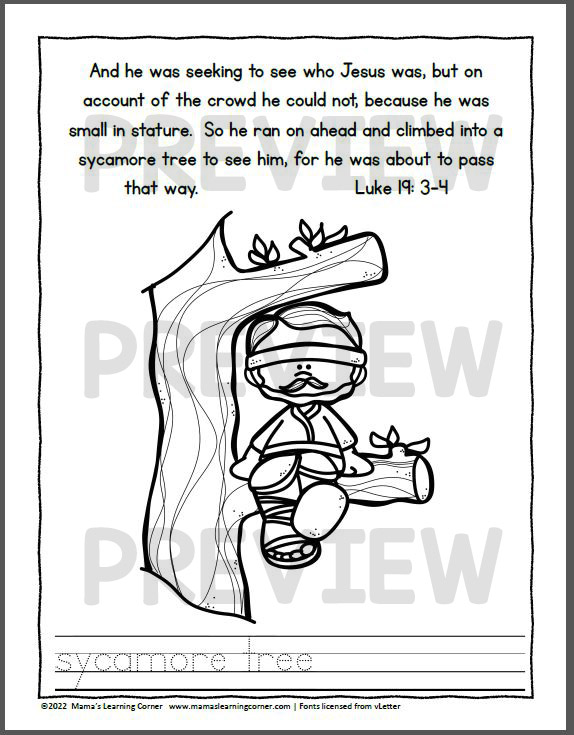 Zacchaeus coloring pages made by teachers