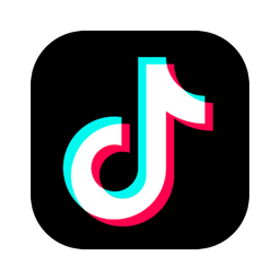 Tiktok ads integration connect crm free