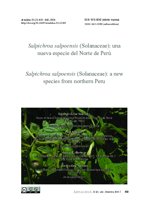 Pdf diversidad y distribuciãn del gãnero salpichroa solanaceae con ãnfasis en los andes peruanos ana valentina basso