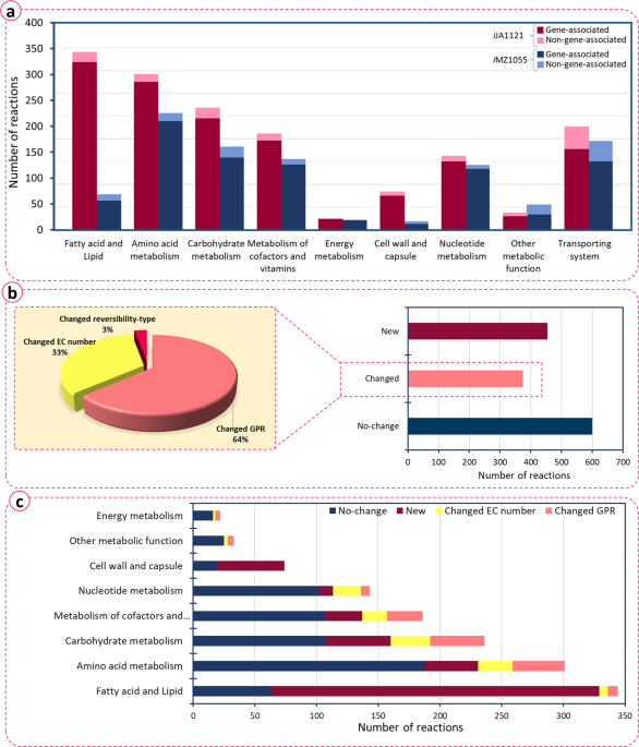 Manually curated genome