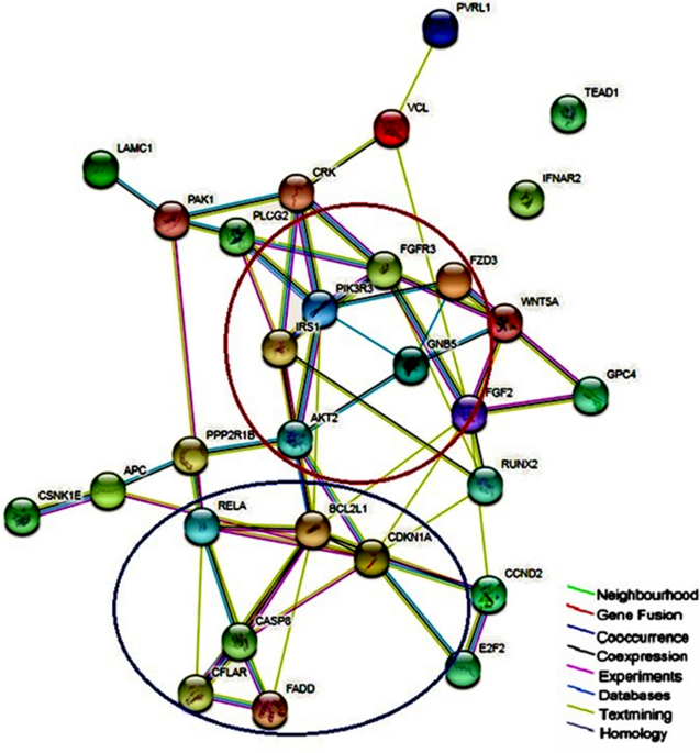 Integrative microrna and gene expression analysis identifies new epigenetically regulated micrornas mediating taxane resistance in ovarian cancer scientific reports