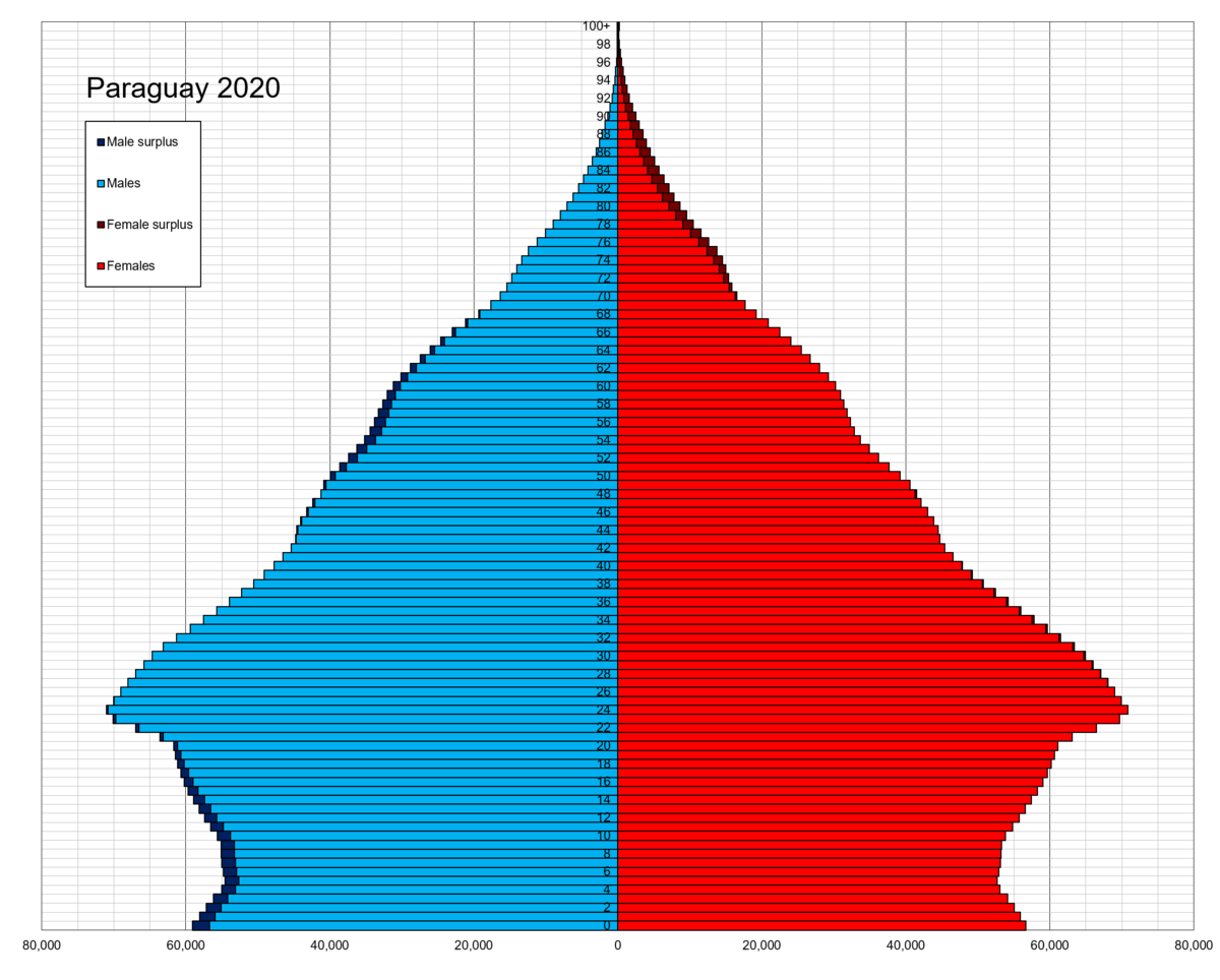 Demographics of paraguay