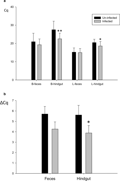 Nosema ceranae infection enhances bifidobacterium spp abundances in the honey bee hindgut apidologie