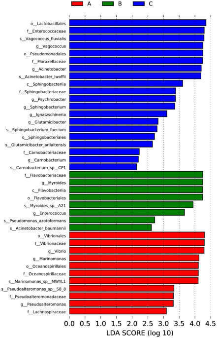 High throughput sequencing reveals the abundance and diversity of antibiotic