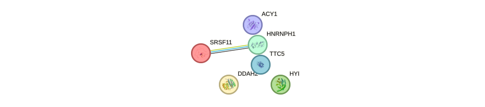 Hyi gene