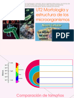 Teorico biologãa quantum unlocked pdf aminoãcidos proteãnas