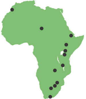 Fossils and ancient dna paint a vibrant picture of human origins