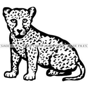 Leopard cub clipart