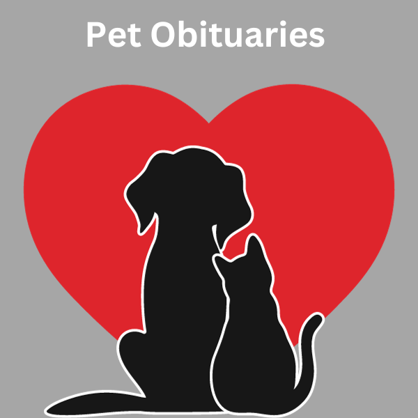 Pet obituaries manchester ink link