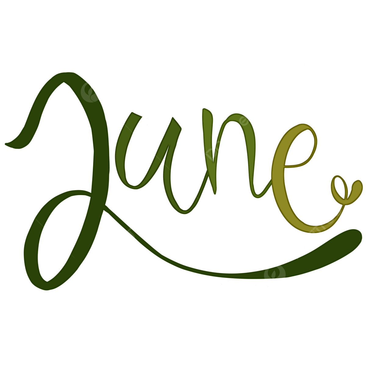 Floral june png transparent images free download vector files