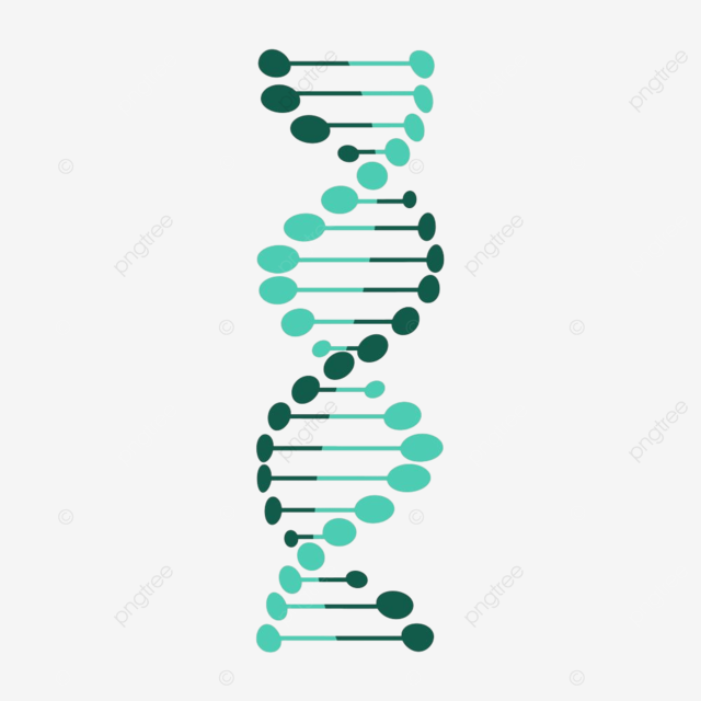 Dna strand clipart png images dna symbol strand isolated on white background symbol helix molecule png image for free download