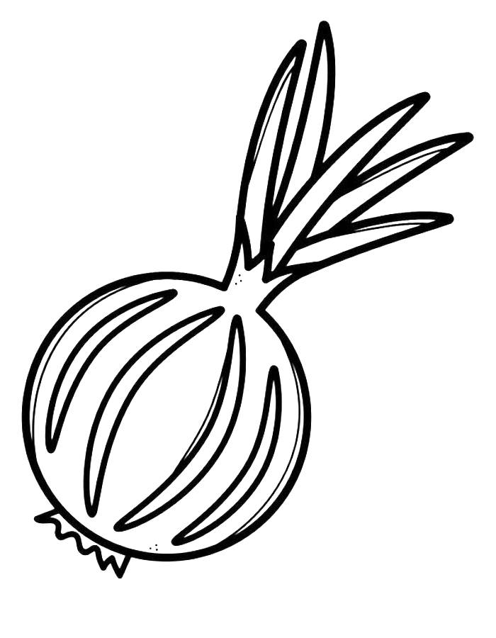 Onion coloring pages in cartoon coloring pages coloring pages graphic organizers