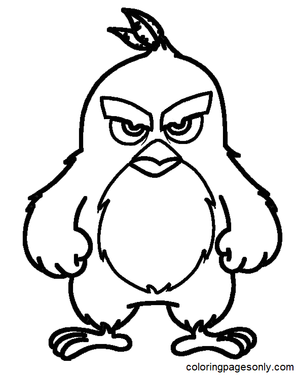 Angry birds movie coloring pages printable for free download