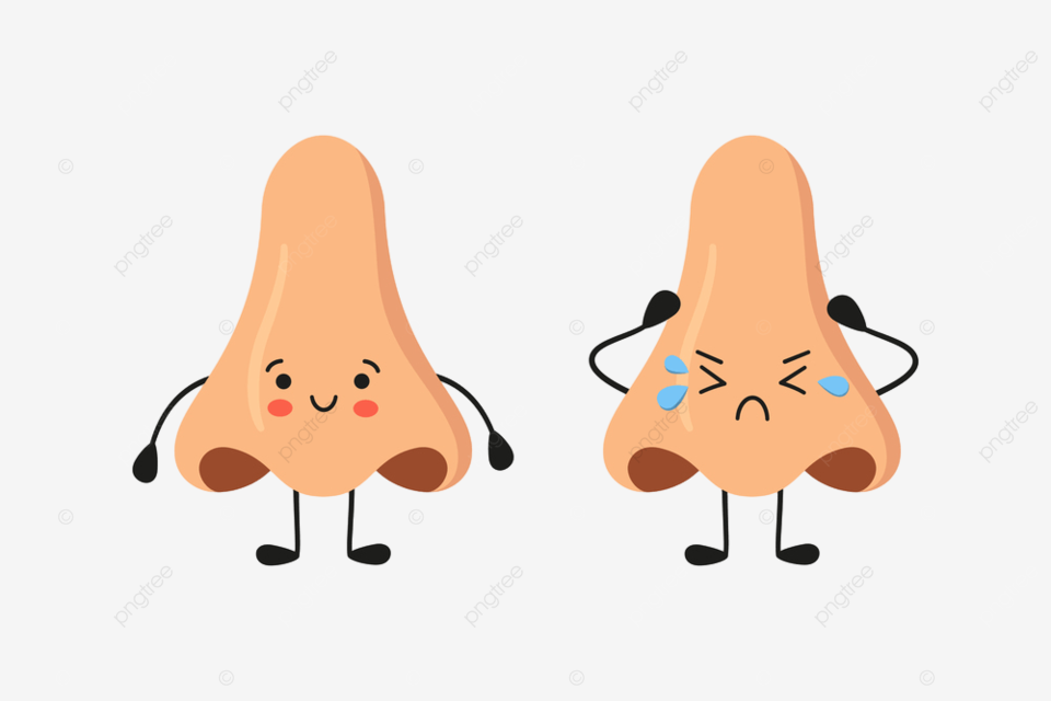 Human nose clipart hd png human nose kawaii happy and sad characters exhale kawaii sense png image for free download