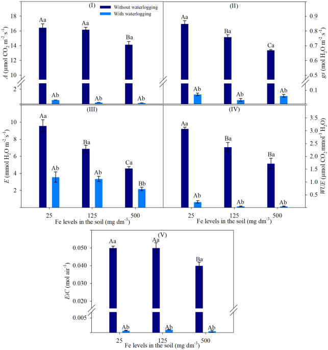 Response of soybean to soil waterlogging associated with iron excess in the reproductive stage