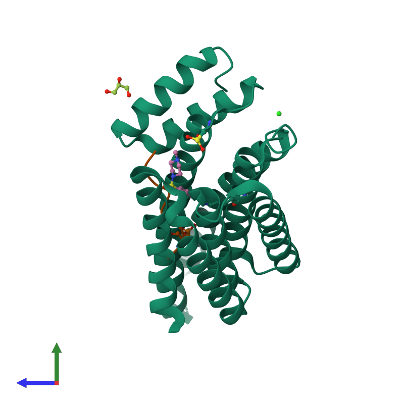 Pdb nle gallery â protein data bank in europe pdbe â embl