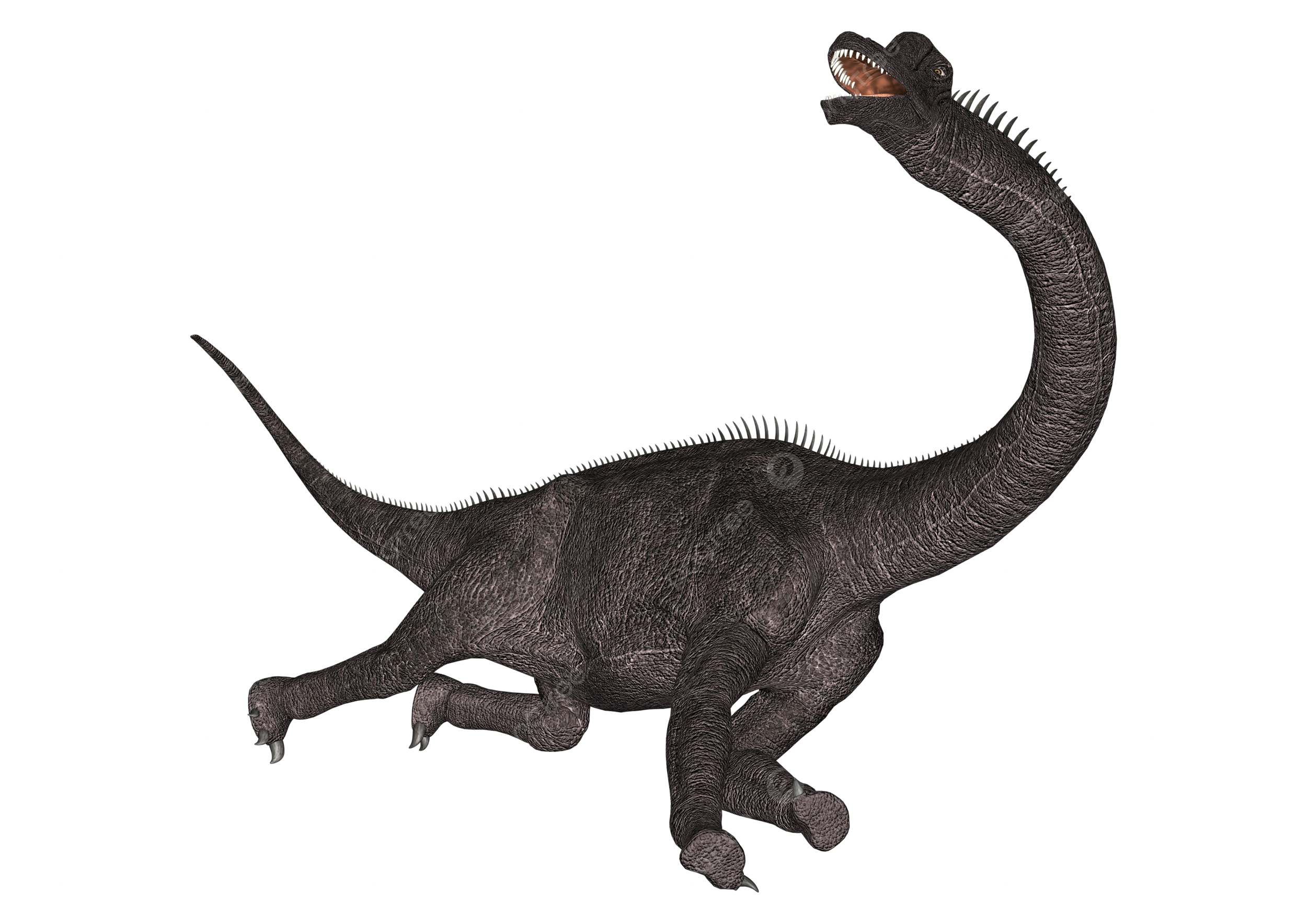 Brachiosaurus png transparent images free download vector files