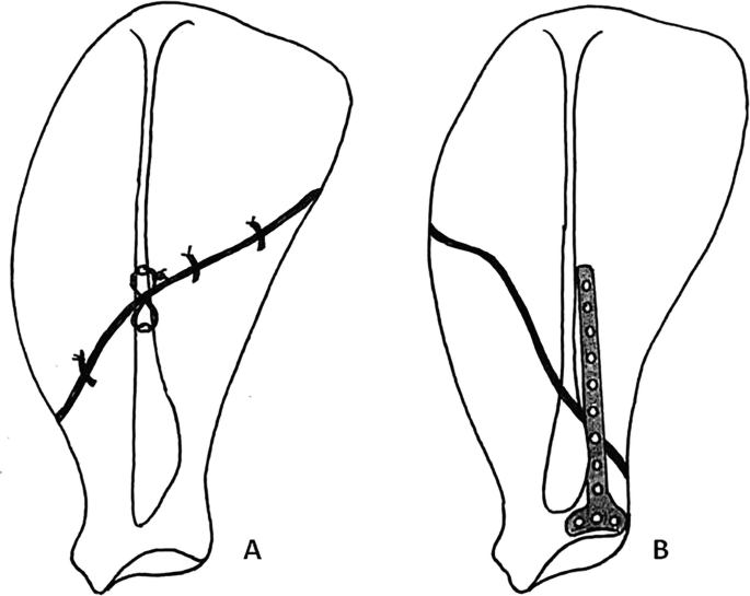 Management of specific fractures in small animals