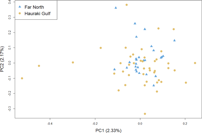 Population genomics of the rediscovered threatened new zealand storm petrel fregetta maoriana support a single breeding colony conservation genetics