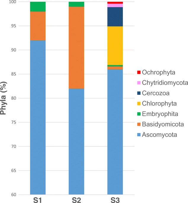 A time travel story metagenomic analyses decipher the unknown geographical shift and the storage history of possibly smuggled antique marble statues annals of microbiology full text