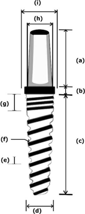 Clinical and radiographic prospective study of customized one