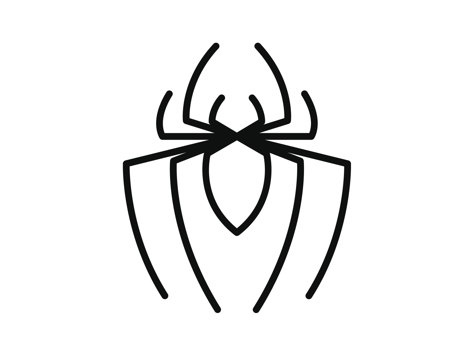 Spider