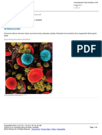 Capãtulo sistema circulatorio sangre pdf sangre hematopoyis