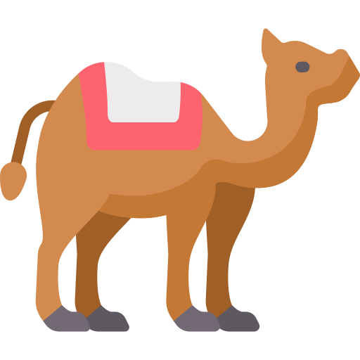 Camel