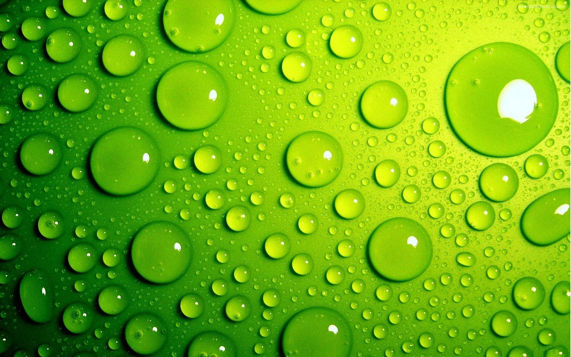 Download d water droplets on green surface wallpaper