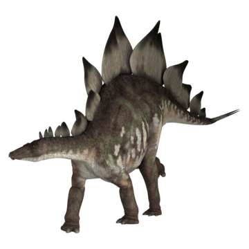 Stegosaurus png transparent images free download vector files