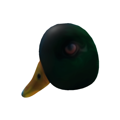 Serious duck head roblox item