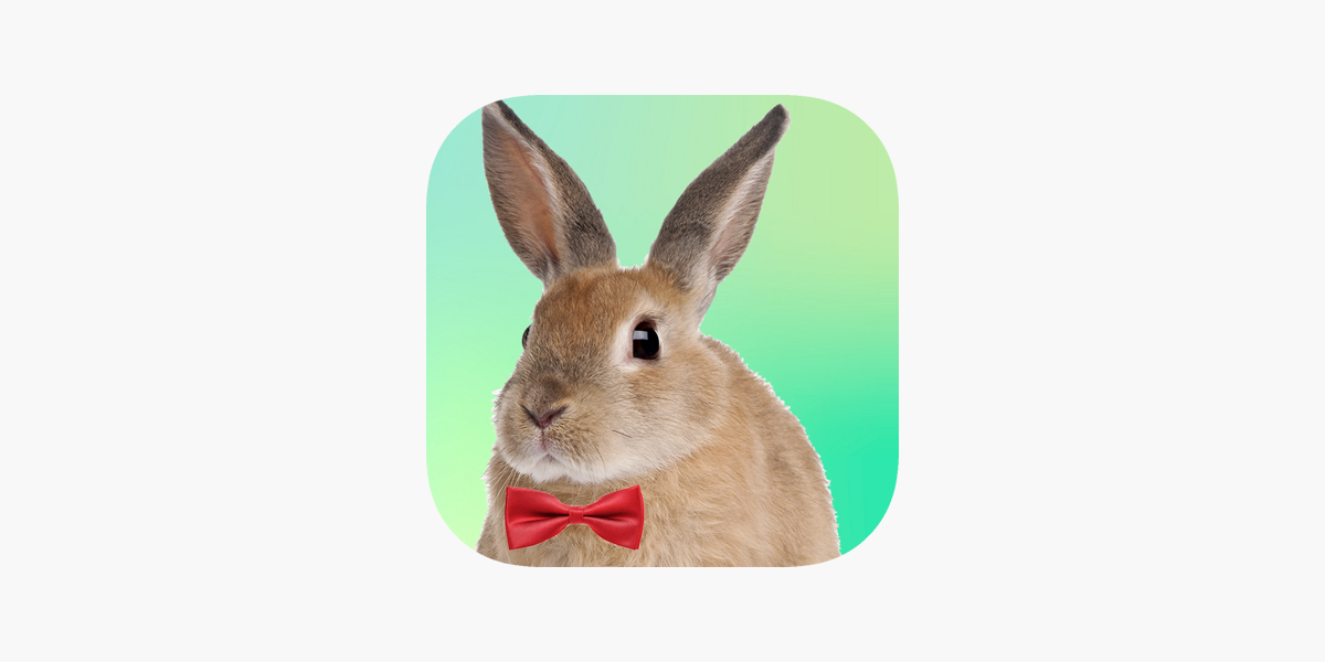 Adopt a rabbit virtual pet on the app store